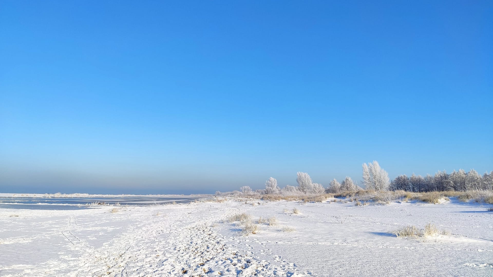 plaża morze wyspa sobieszewska gdańsk