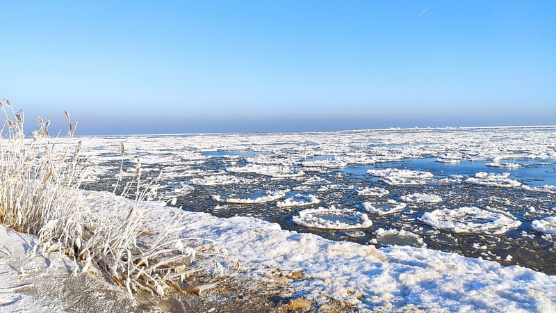 rezerwat mewia łacha ptasi raj gdańsk wyspa sobieszewska wisła